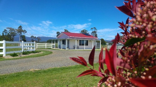 Little Sunnyside Accommodation image 14